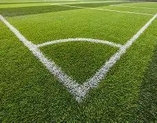 中国女排迎,战巴西女排,世界杯激战,星空娱乐会员登录入口,星空娱乐官网,星空娱乐