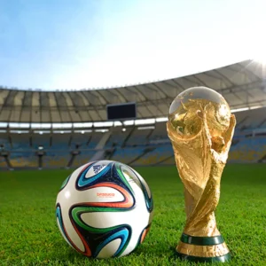 足协应承担,职责,避免邵佳一,星空娱乐会员登录入口,星空娱乐官网,星空娱乐